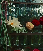 SWP0850.jpg