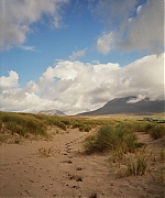 SWP0482.jpg