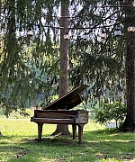 SWP0939.jpg