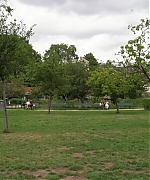 SWP0487.jpg